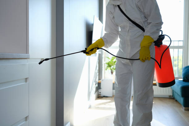 Best Health and Safety Mold Remediation in Benton Park, CA